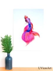Rosamara Betta Fish Wall Art – Elegant UV Printed Glass Decor in Pink & Violet by UVionArt